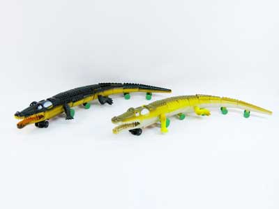 B/O Crocodile W/M(2C) toys