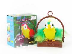 B/O Record Parrot toys