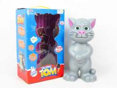 B/O Tom Cat