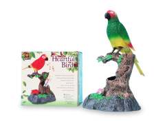 B/O Record Parrot toys
