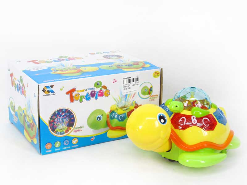 B/O Tortoise toys
