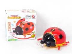 B/O Ladybug W/L(3C)