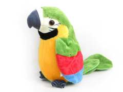 B/O Record Parrot