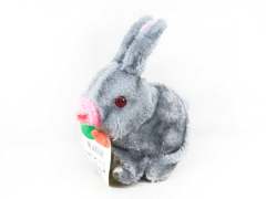 B/O Rabbit W/L_S
