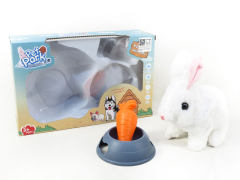 B/O Pet Rabbit Set