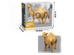 B/O Camel