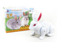 B/O Rabbit(2C)