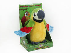 9inch Recording Parrot