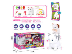 B/O Cat Set W/S(2C) toys