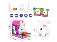 B/O Rabbit Set W/S toys