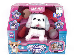 B/O Dog Set(3C) toys