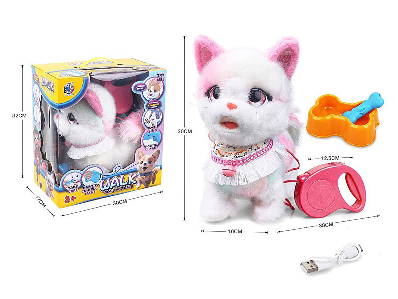 Electric Pet Cat Set toys
