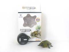R/C Tortoise W/Infrared(2C) toys
