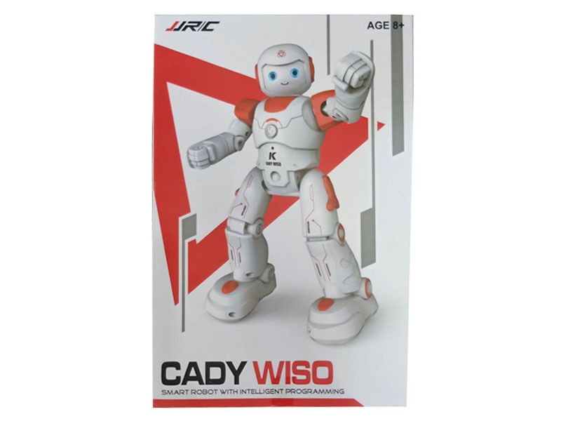 R/C Robot toys