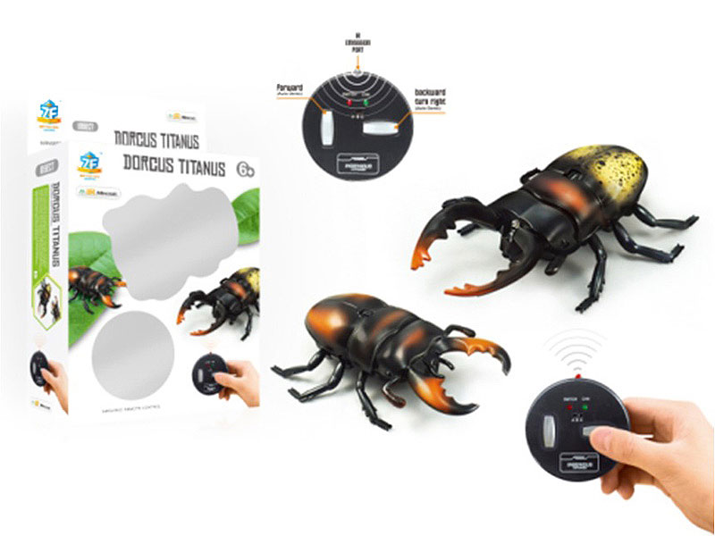 R/C Beetle(2C) toys