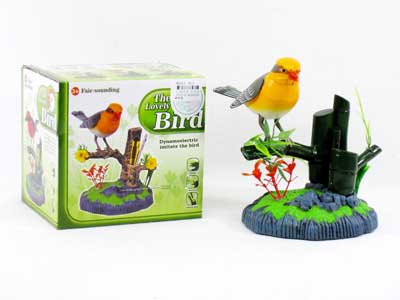 S/C  Bird toys