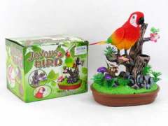 S/C  Bird toys