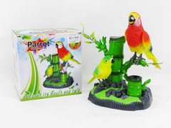 S/C Dance Parrot
