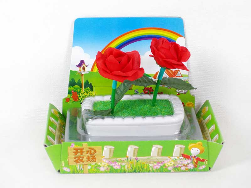 S/C  Flower toys