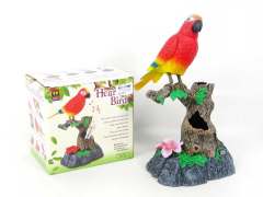 S/C  Bird(2S) toys