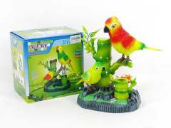 S/C Bird(2S) toys