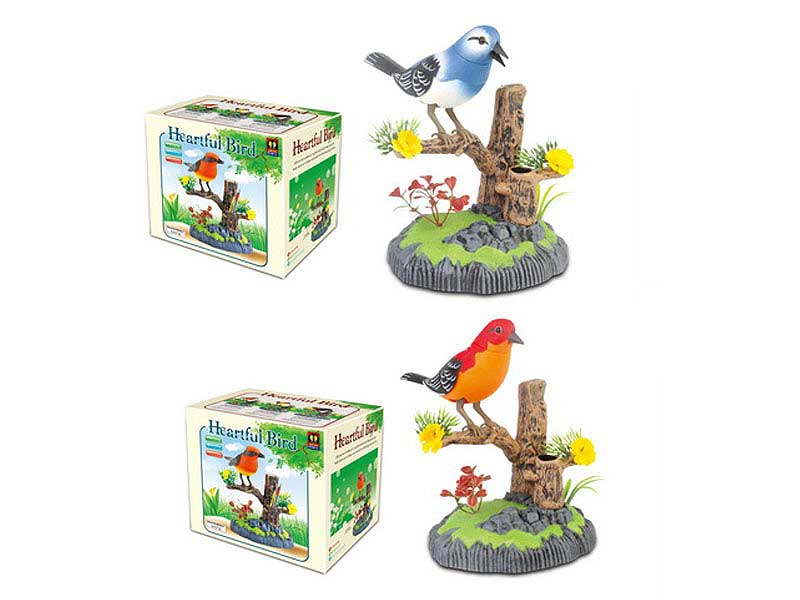 S/C Bird(2C) toys