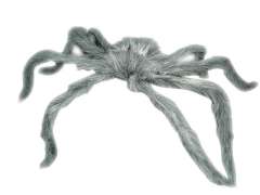S/C Libration Spider toys
