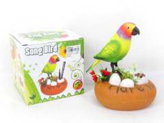 S/C Bird toys