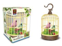 S/C Birdcage toys