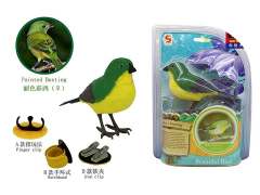 S/C Bird toys