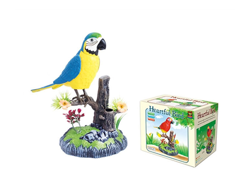 S/C Bird toys