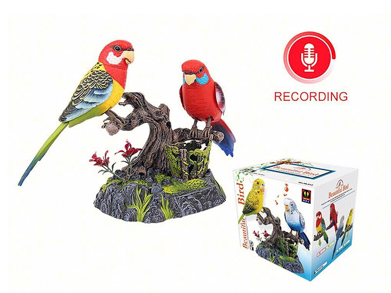 S/C Recording Parrot toys