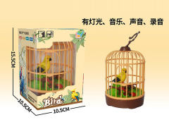 S/C Recording Bird W/L_M toys