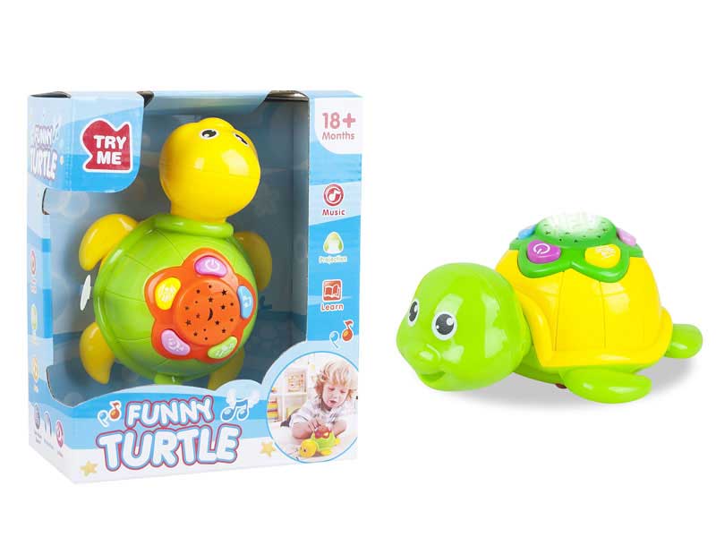 Tortoise W/L_M toys