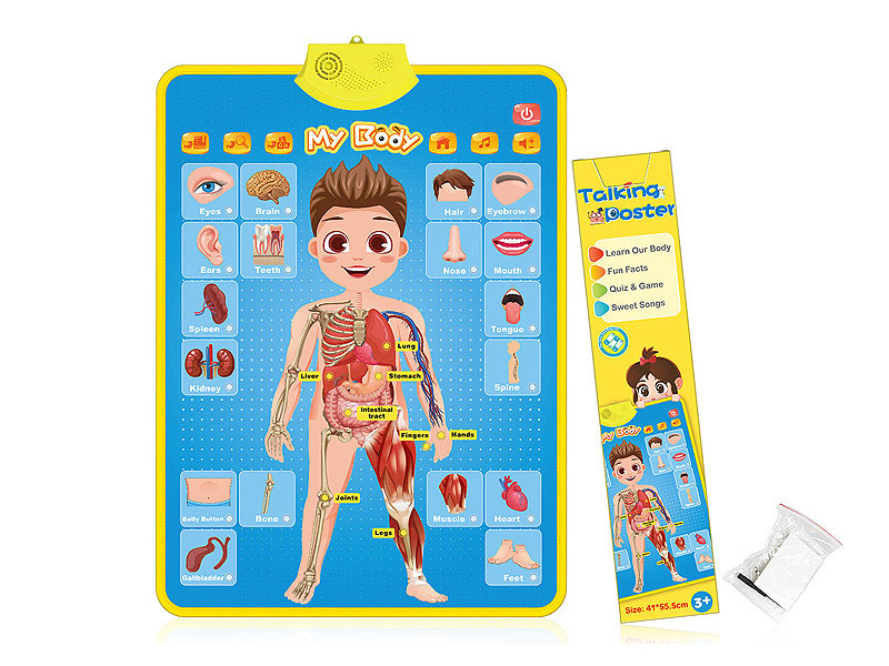 Wall Chart Of Human Body Structure Learning toys