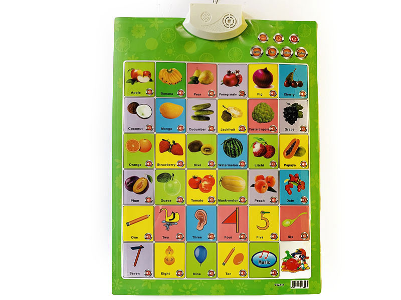 English Voice Wall Chart toys