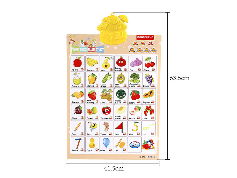 Voice Wall Chart toys