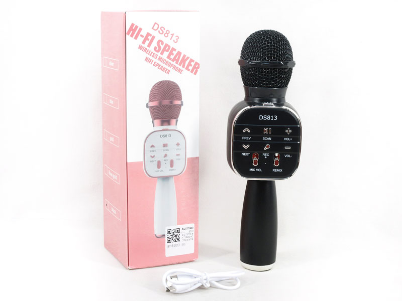 Microphone toys