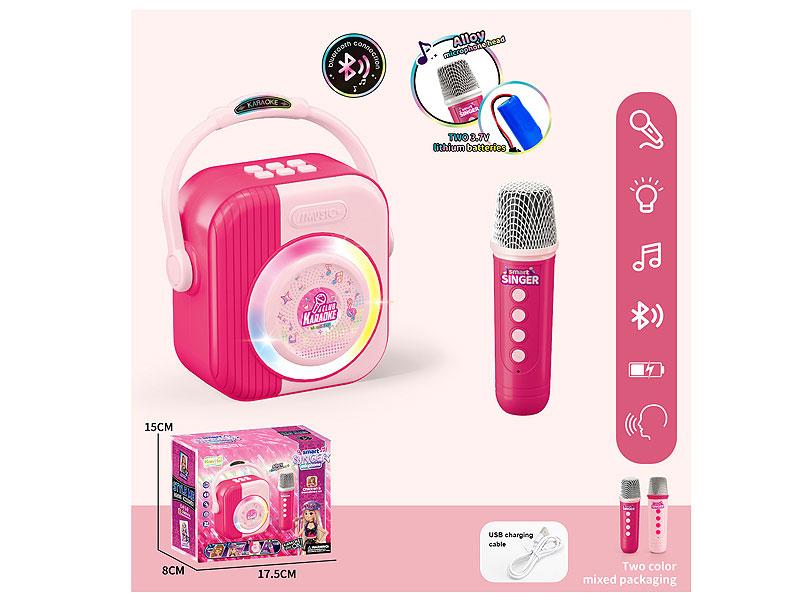 Smart Singer Micphone toys