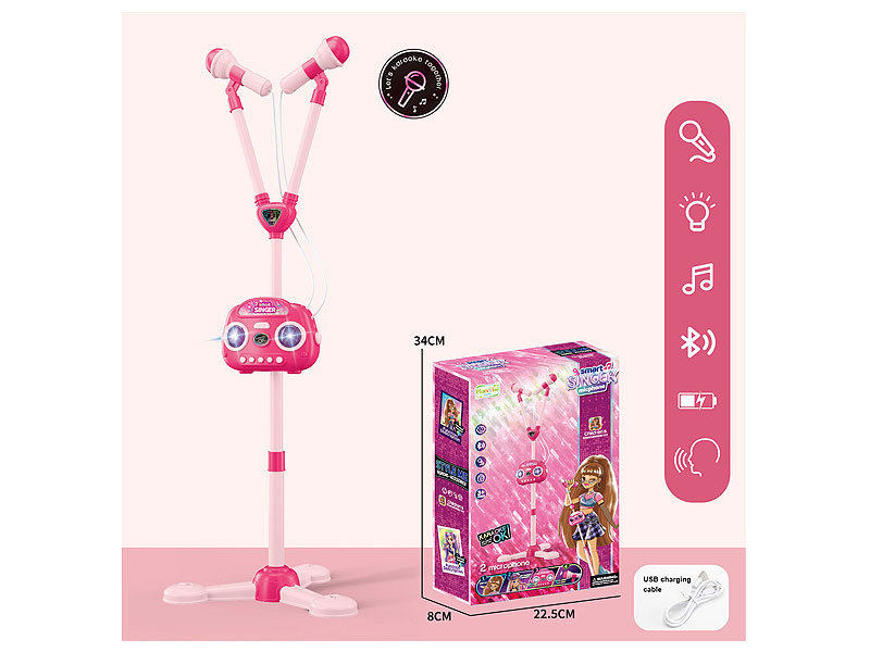 Smart Singer Micphone toys