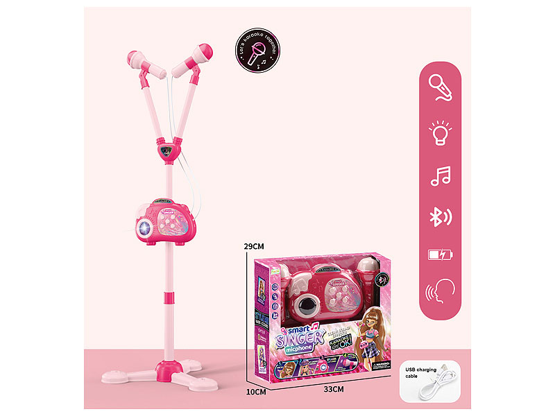 Smart Singer Micphone toys