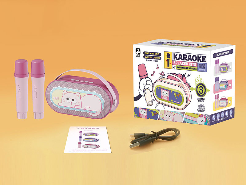 Single label K-song Set W/L toys