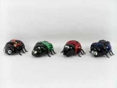 Pull Back Beetle Car(4S4C)