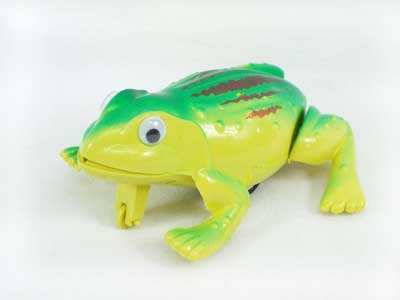 Pull Back Frog toys