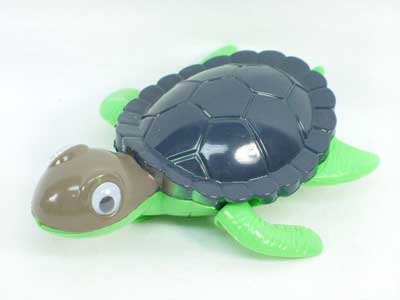Pull Back Tortoise toys