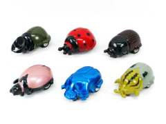 Pull Back Beetle(6in1)