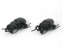 Pull Back Beetle(2S)