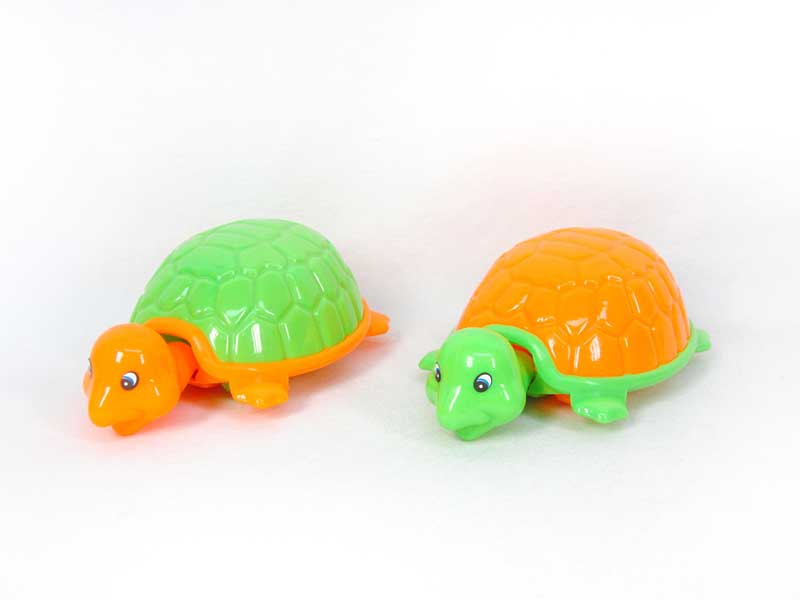 Pull Back Tortoise(2C) toys