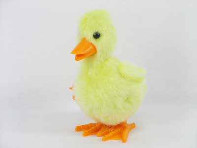 Wind-up Duck toys