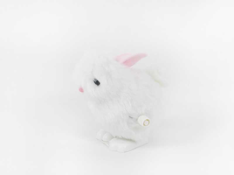 Wind-up Rabbit toys